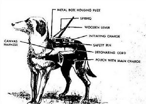 反坦克犬結構圖