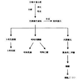 營養生理需要量