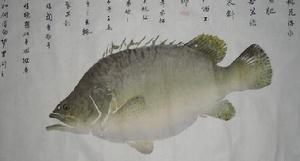 桃花桂魚