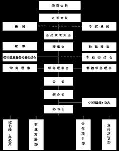 組織機構圖