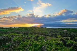 皮克島酒莊文化景觀