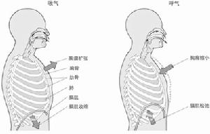 膈肌麻痹