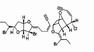 石房蛤毒素分子結構