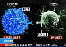 陳列平教授科學研究