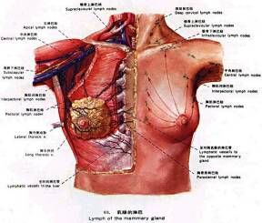 絕經期乳腺癌