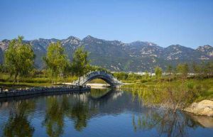 泰山國際濕地公園