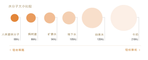 84Hz楓樹液小分子