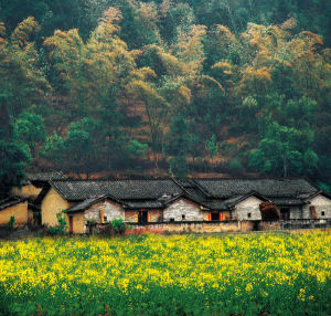 王子山森林公園