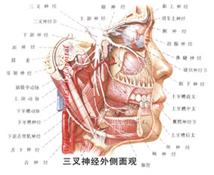 苯妥英