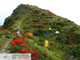 普禪山