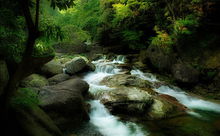 大口國家森林公園