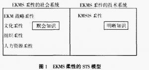 EKMS柔性