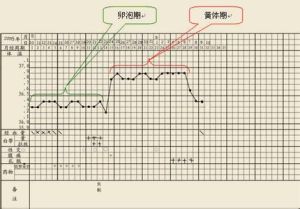 基礎體溫測定