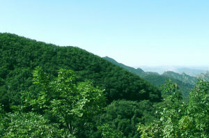 努魯兒虎山國家級自然保護區