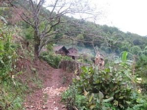 小陸箐村