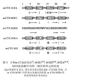 五種ω-CTX胺基酸序列和二極結構單元的比較