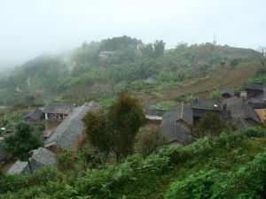 米里村自然村