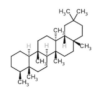 木栓烷