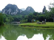 龍潭公園[廣西柳州龍潭公園]