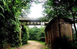 玉龍山國家森林公園