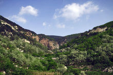 山東沂山國家森林公園