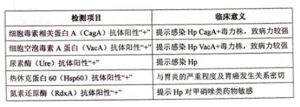 幽門螺桿菌分型檢測項目及臨床意義