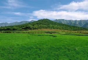 秦始皇陵建大型遺址公園