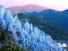 九仙山風景區