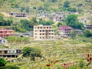 坂頭村[福建南安市英都鎮下轄村]