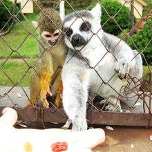 青島森林野生動物世界