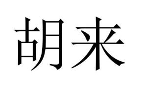 胡來[漢語詞語]