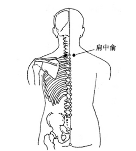 肩中俞