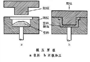 模壓