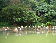 灃河濕地公園