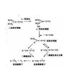 亞硝酸胺