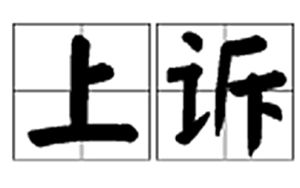 提出抗訴