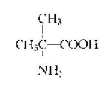 a一氨基異丁酸
