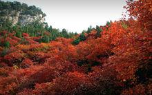 鳳凰山[山東省沂源縣鳳凰山]