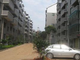 東嶺桂園 東嶺桂園