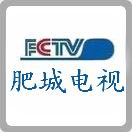 肥城電視台新LOGO