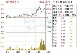 四川友利投資控股股份有限公司