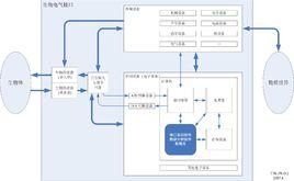 生物電氣接口