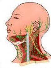 淋巴結充血