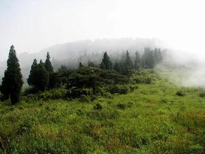 石鼓山景