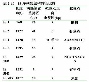 轉座子