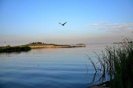 沙湖國家濕地公園