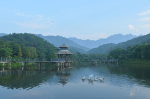 鯉魚塘九曲橋