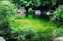 南陽伏牛山地質公園美景