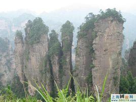 五指山[河北省邢台市五指山]