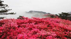 龜峰山風景區